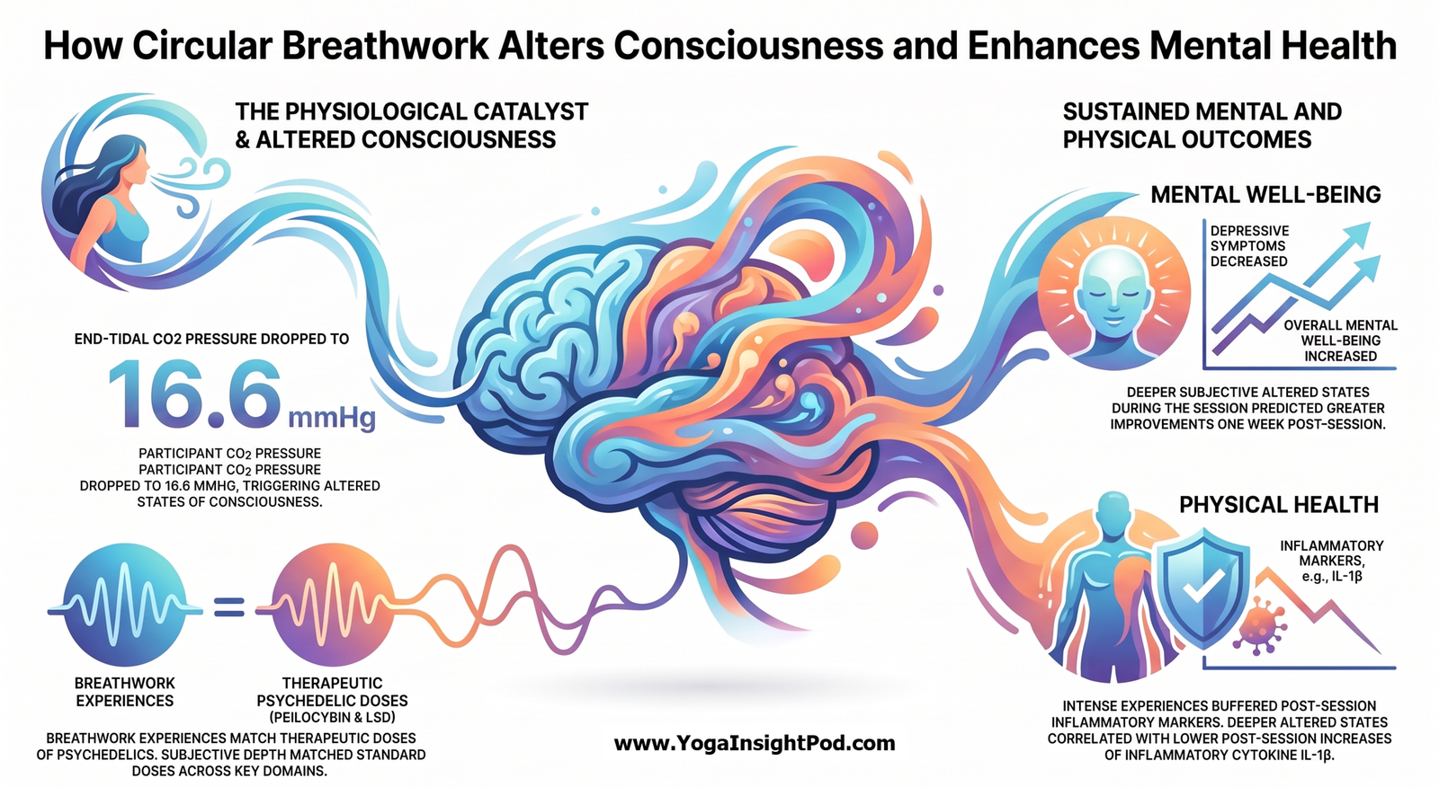 Circular Breathwork and CO₂: Can Breathing Alter Consciousness and Improve Well-Being?